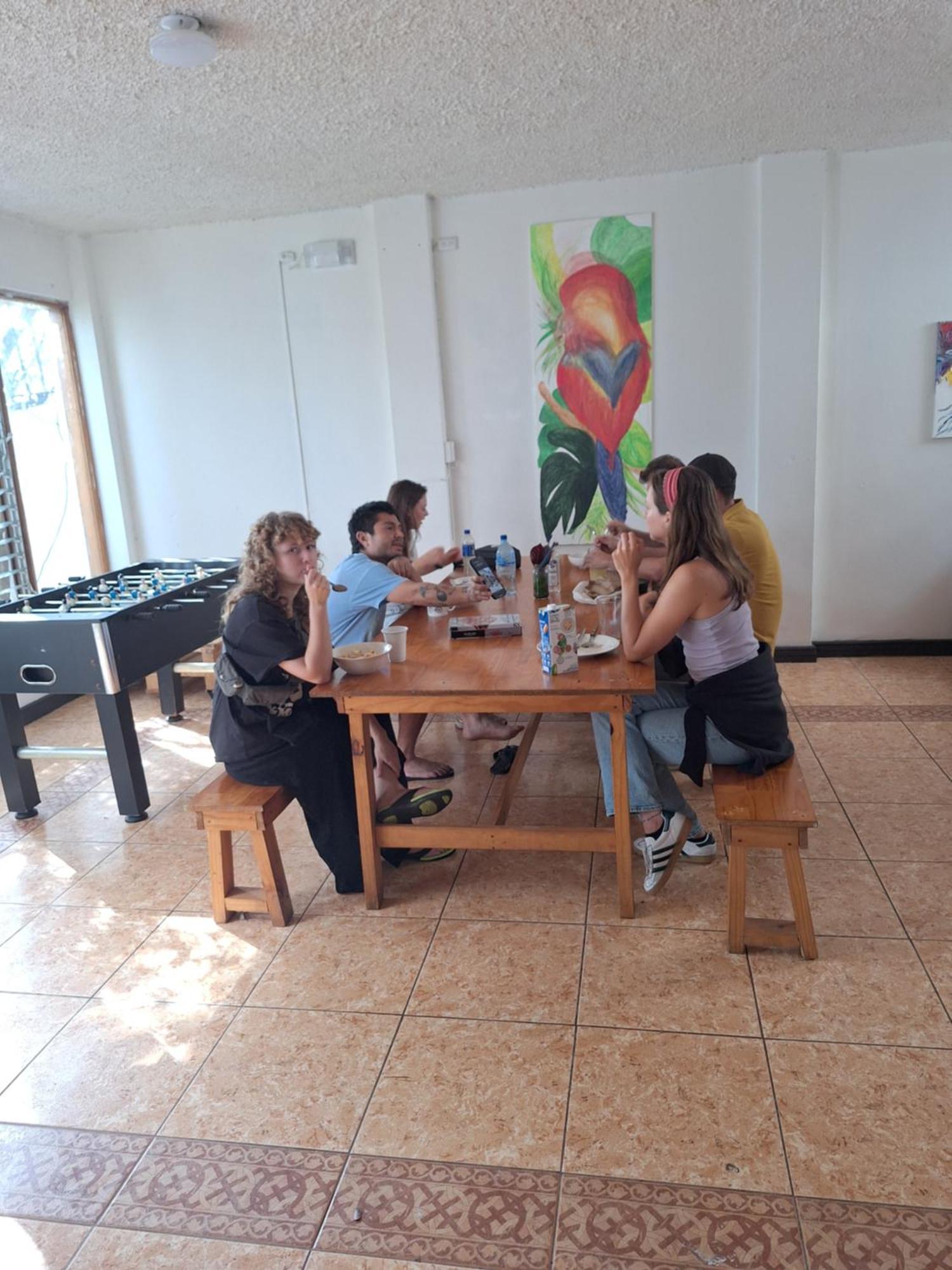 Carolina Hostel San José Extérieur photo